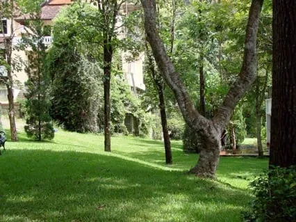 Local lawn care service for outdoor upgrades across Macedonia, OH - Greenline Company