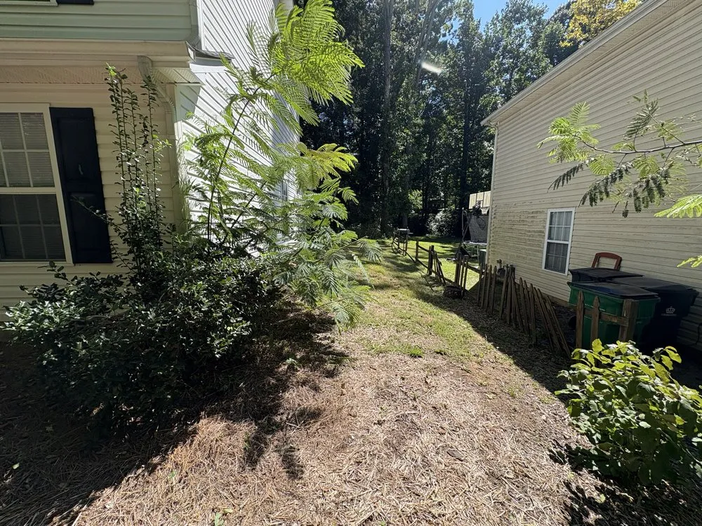 Top-rated residential landscaping in Fort Mill, SC - Greenline