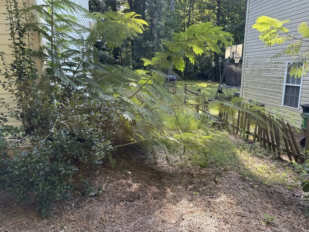 Custom outdoor landscaping in Fort Mill, SC by Greenline