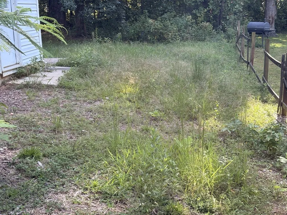 Trusted yard maintenance for outdoor upgrades in Fort Mill, SC by Greenline