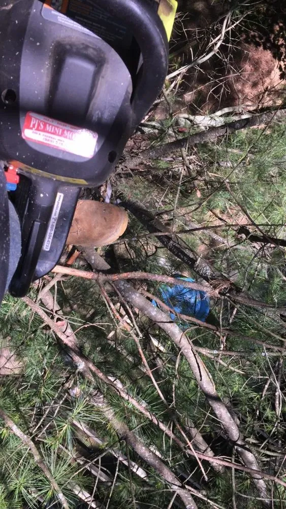 Trusted landscape installation with custom design in Flint, MI by Greenline Improvement