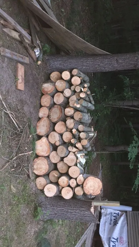 Trusted lawn care service with custom design across Flint, MI - Greenline Improvement