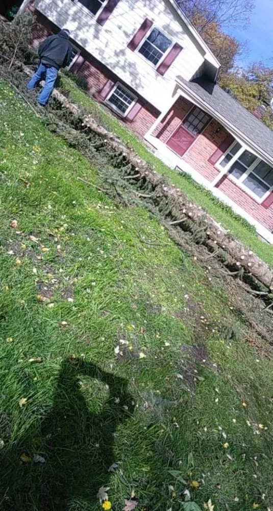 Local landscaping services in Flint, MI by Greenline Improvement