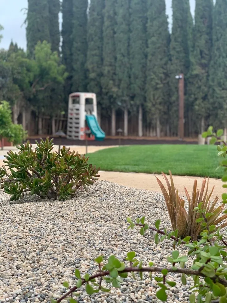 Top-rated landscape design for year-round maintenance across Escondido, CA - Greenline Landscape and Tree Care