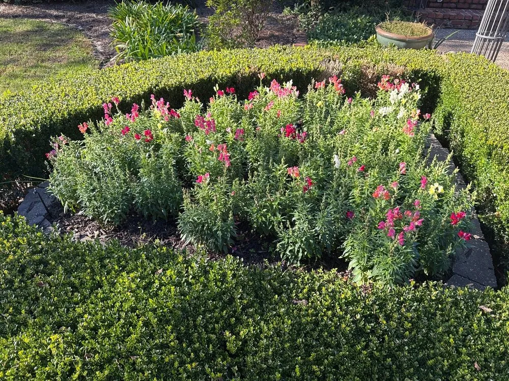 Affordable lawn care service for homes across Hattiesburg, MS - Greenline Landscape