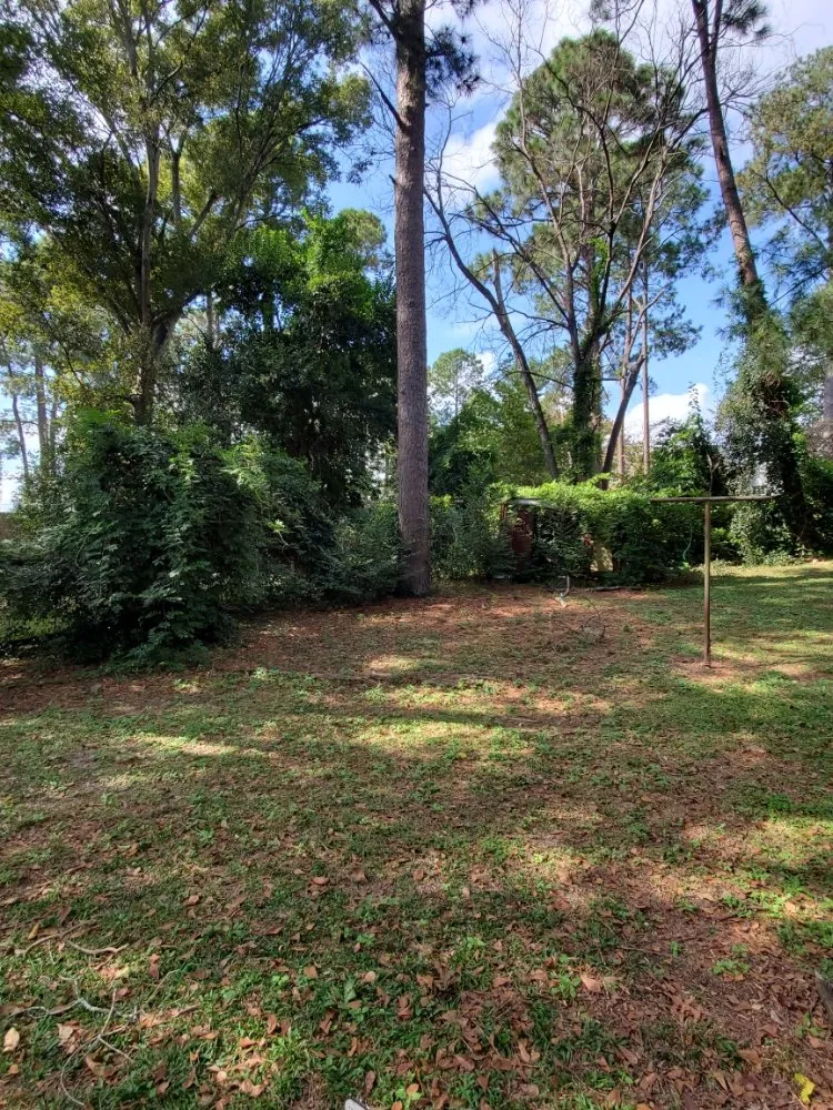 Trusted landscaping services in Augusta, GA - Greenline Landscaping And More