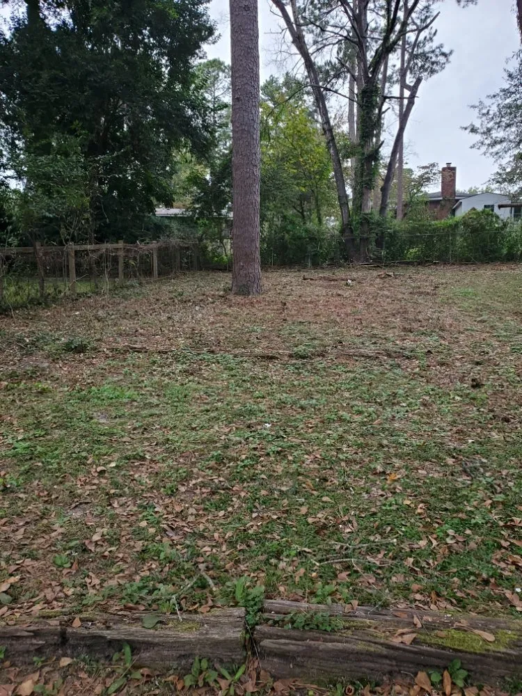 Expert yard maintenance experts serving Augusta, GA - Greenline Landscaping And More