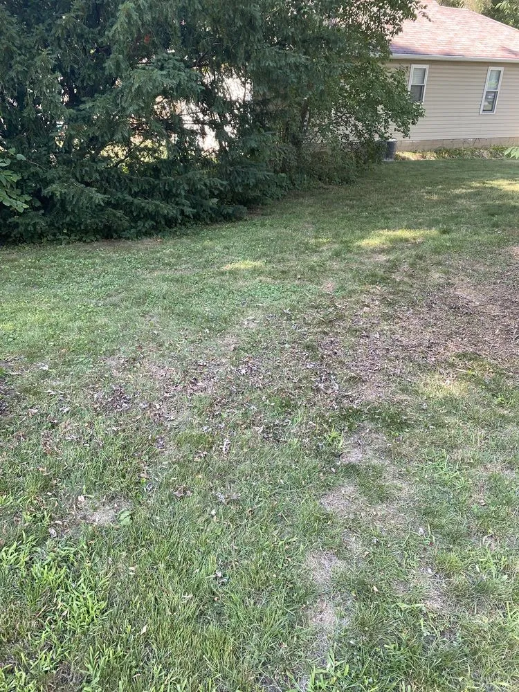 Professional lawn mowing service for outdoor upgrades in Troy, MI by Greenline Lawn Service