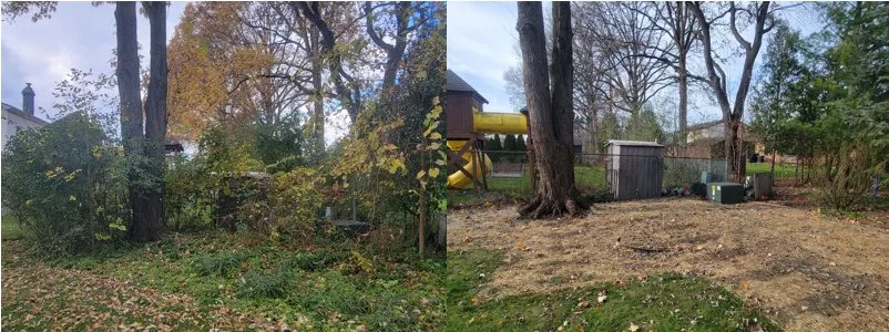 Local landscape design in Troy, MI by Greenline Lawn Service