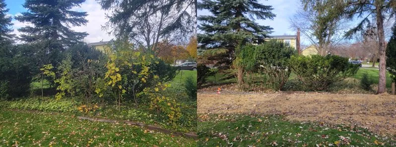 Professional lawn mowing service in Troy, MI by Greenline Lawn Service