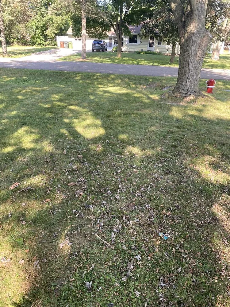 Top-rated outdoor landscaping experts serving Troy, MI - Greenline Lawn Service