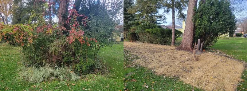 Expert residential landscaping in Troy, MI - Greenline Lawn Service