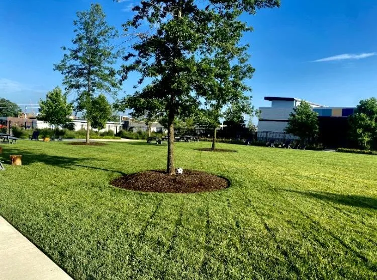Professional lawn mowing service in Bentonville, AR by Greenline Lawns