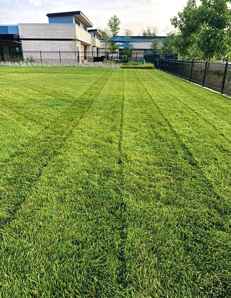 Trusted landscaping services in Bentonville, AR by Greenline Lawns