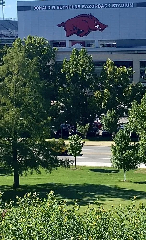 Expert garden landscaping experts serving Bentonville, AR - Greenline Lawns