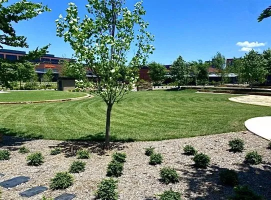 Greenline Lawns Logo