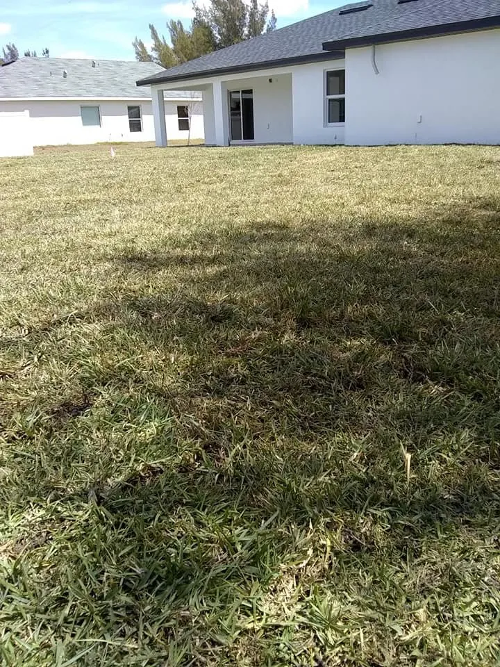 Professional yard maintenance experts serving Clewiston, FL - Greenline Sod