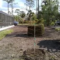 Top-rated landscaping services in Clewiston, FL - Greenline Sod