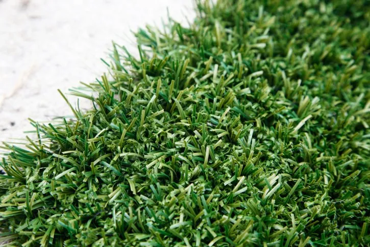 Reliable landscape installation experts serving Clewiston, FL - Greenline Sod