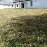 Affordable landscape installation with custom design in Clewiston, FL by Greenline Sod