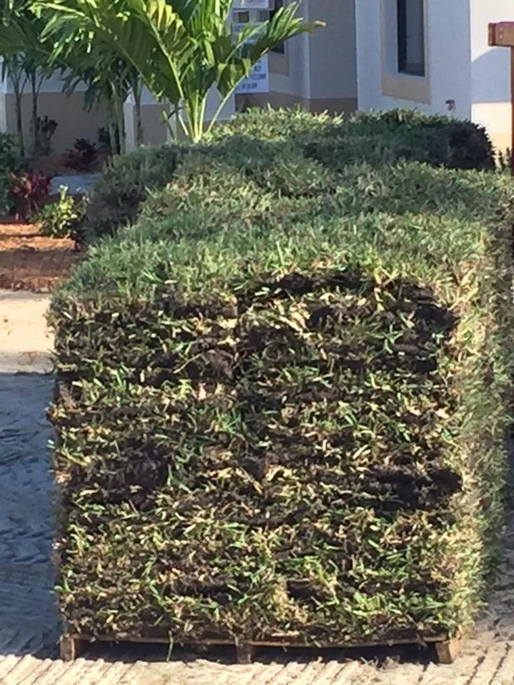 Custom lawn care service with custom design across Clewiston, FL - Greenline Sod