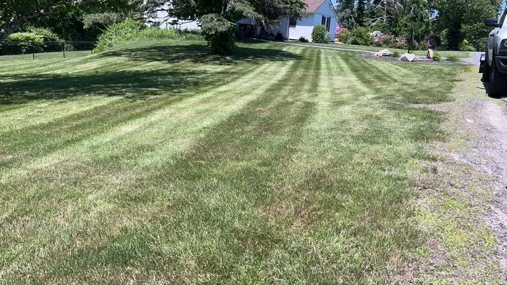 Custom lawn care service for outdoor upgrades across Medway, MA - Greenline Turf