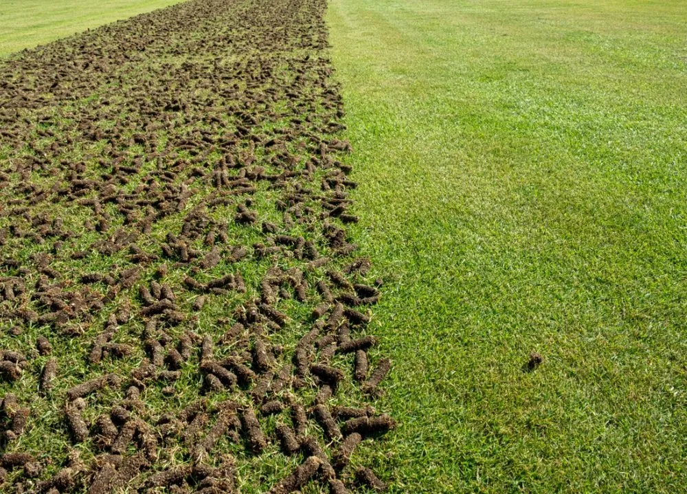 Professional landscape installation experts serving Medway, MA - Greenline Turf