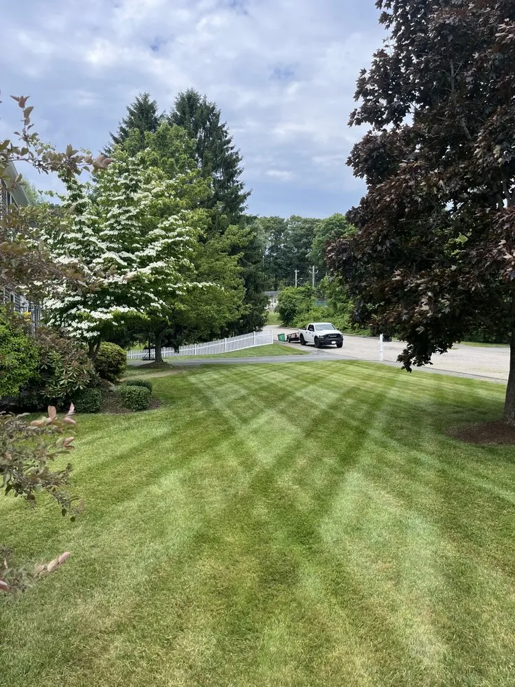 Expert landscaping services for beautiful yards in Medway, MA by Greenline Turf