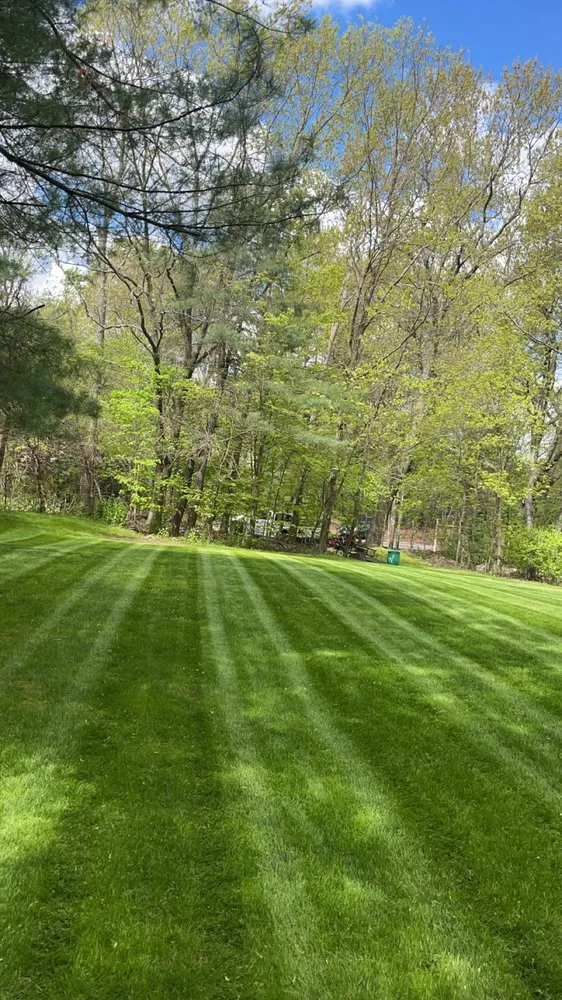 Trusted landscaping services for homes in Medway, MA by Greenline Turf