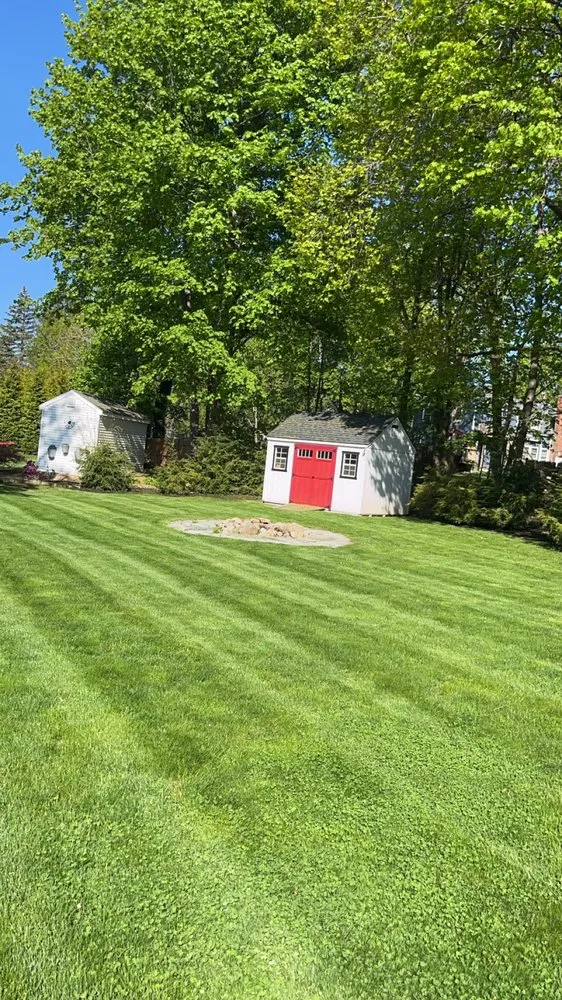 Top-rated outdoor landscaping near you across Medway, MA - Greenline Turf