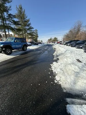 Greenlink Incorporated Logo