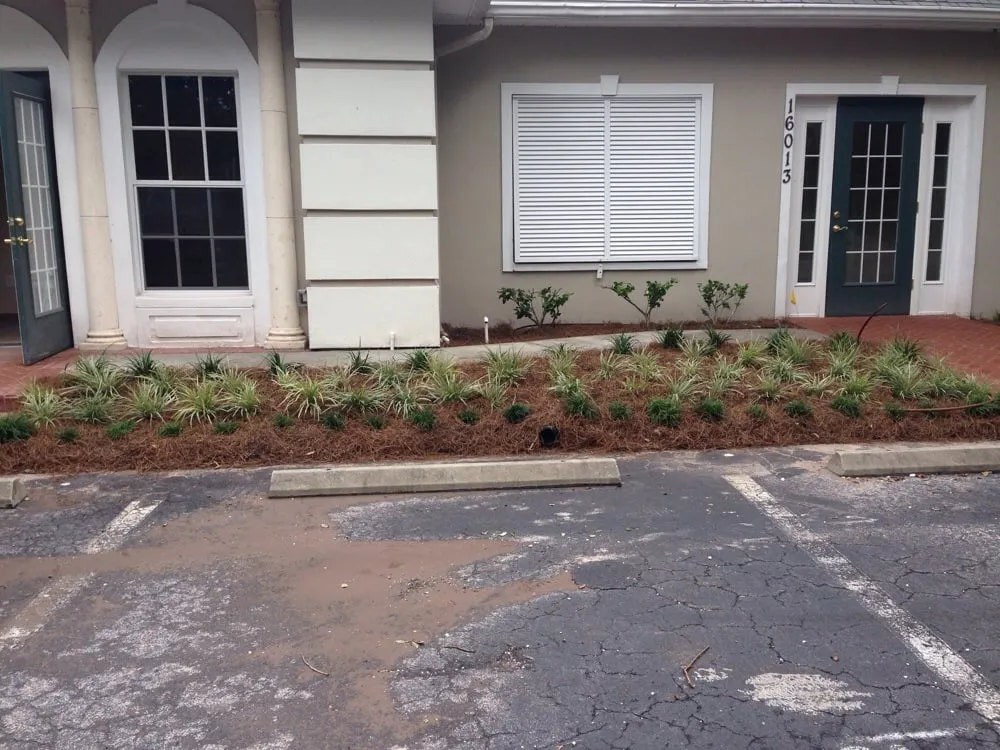 Expert yard cleanup service experts serving Tampa, FL - Greenlion Household Services