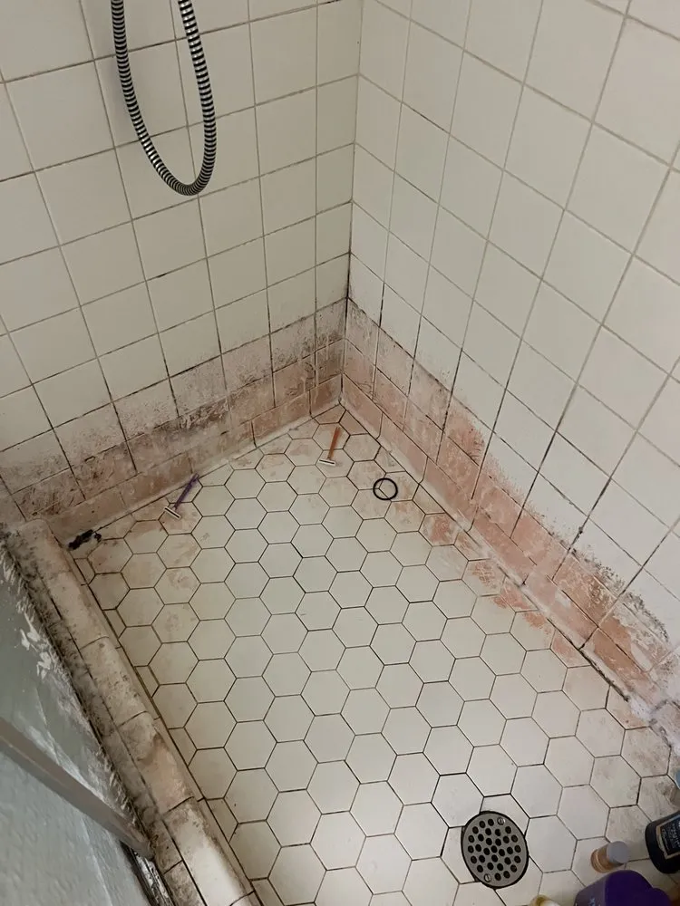 Trusted yard maintenance with custom design across Madison, MS - Greenly