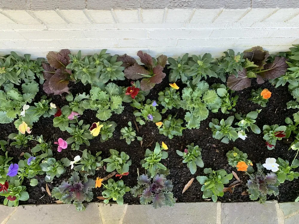 Custom landscape design for beautiful yards in Midland, NC by Greenman Land Management