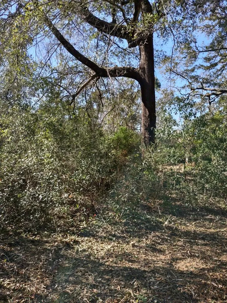 Top-rated garden landscaping with custom design in Robertsdale, AL by Greenman Land Services