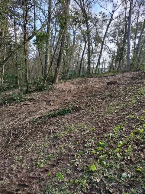 Custom residential landscaping for beautiful yards across Robertsdale, AL - Greenman Land Services