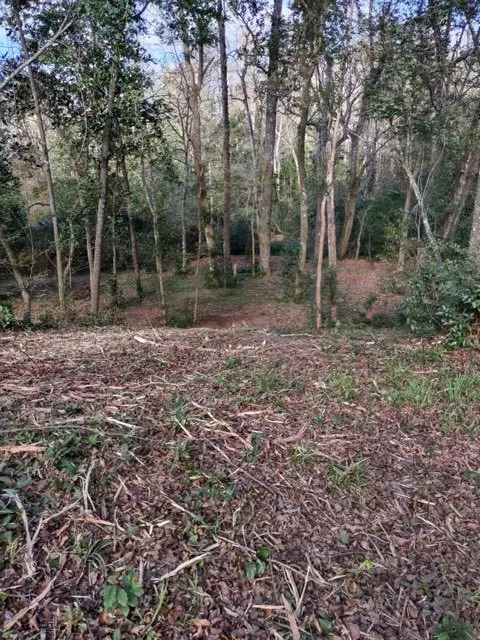 Affordable lawn mowing service for residential properties across Robertsdale, AL - Greenman Land Services