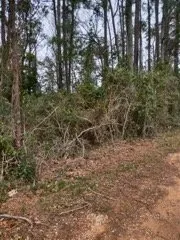 Professional residential landscaping for outdoor upgrades in Robertsdale, AL by Greenman Land Services