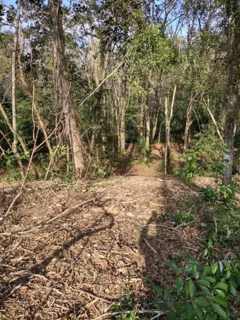 Reliable landscaping services experts serving Robertsdale, AL - Greenman Land Services