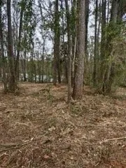 Local lawn mowing service for homes in Robertsdale, AL by Greenman Land Services