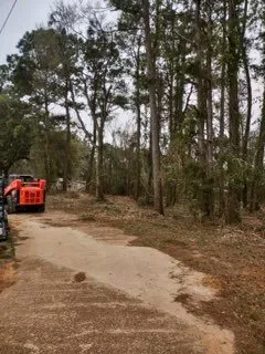 Custom outdoor landscaping for year-round maintenance across Robertsdale, AL - Greenman Land Services