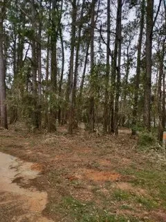 Top-rated outdoor landscaping in Robertsdale, AL - Greenman Land Services