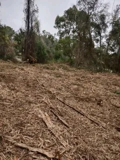 Top-rated landscape installation near you across Robertsdale, AL - Greenman Land Services