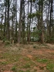 Trusted landscape installation with custom design across Robertsdale, AL - Greenman Land Services