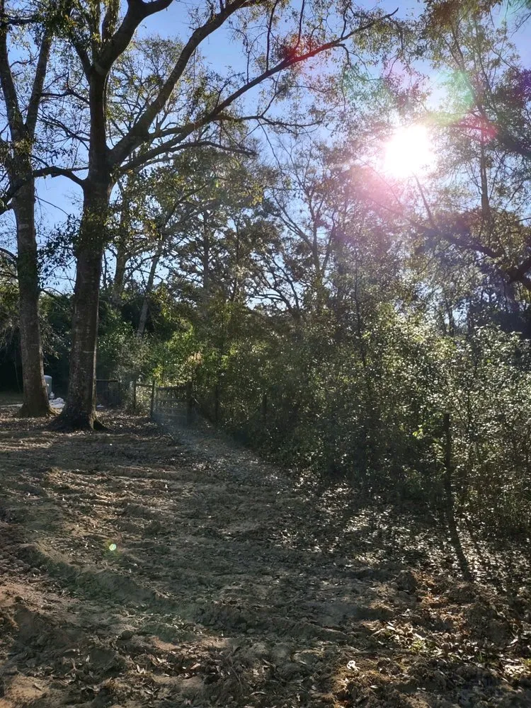 Top-rated yard cleanup service in Robertsdale, AL - Greenman Land Services