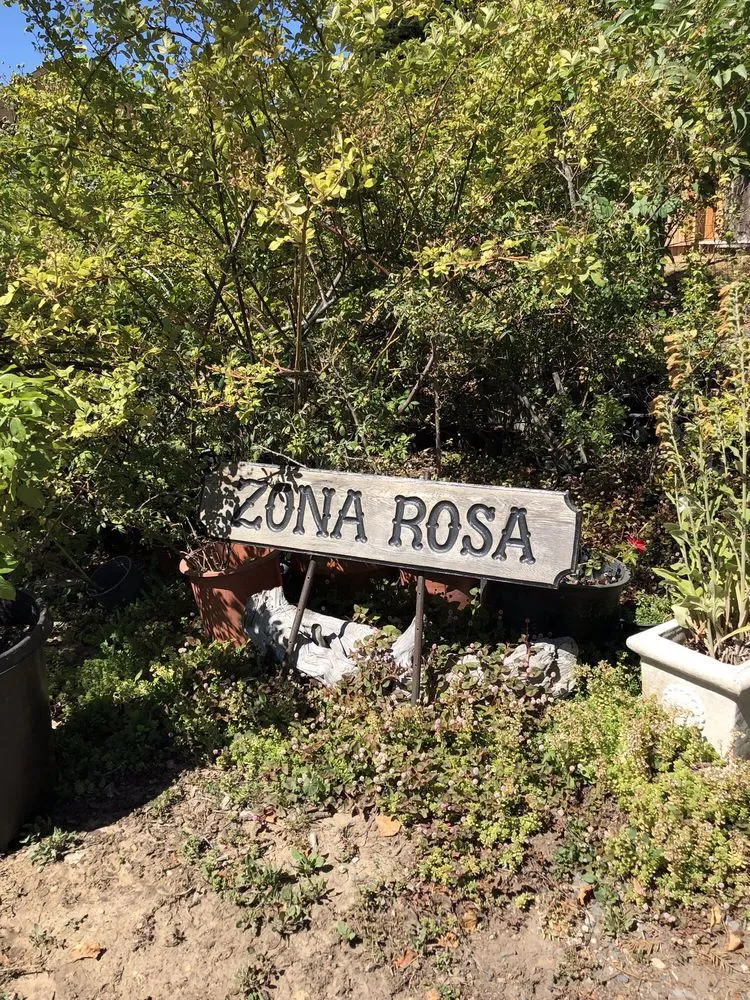 Reliable landscape design experts serving Sebastopol, CA - Greenman Nursery