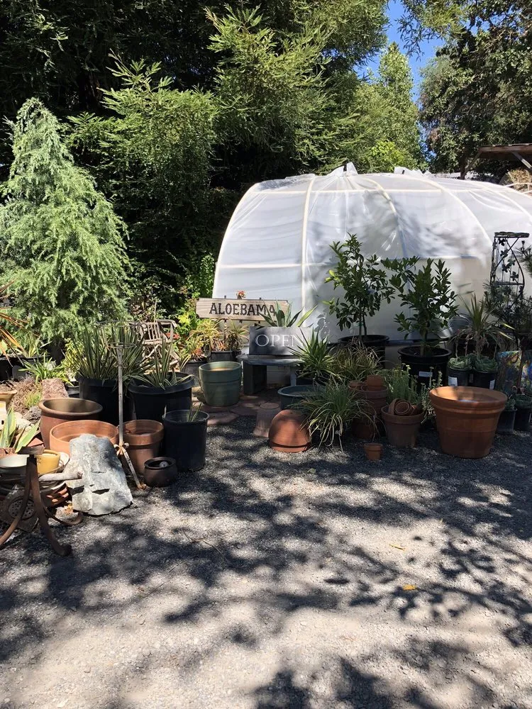Trusted yard maintenance in Sebastopol, CA - Greenman Nursery