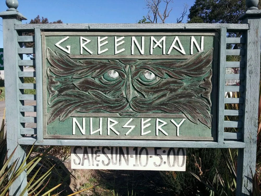 Local yard maintenance for year-round maintenance in Sebastopol, CA by Greenman Nursery