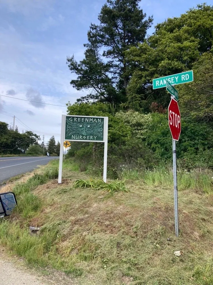 Expert yard maintenance for residential properties across Sebastopol, CA - Greenman Nursery