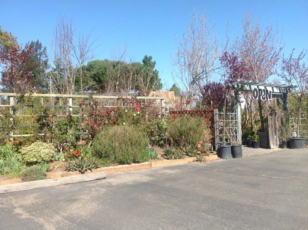 Trusted garden landscaping for year-round maintenance across Sebastopol, CA - Greenman Nursery